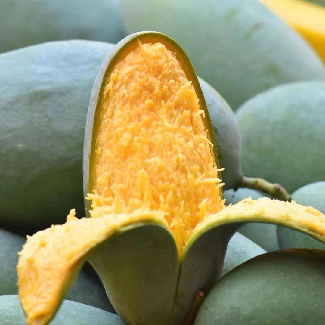 振东果业