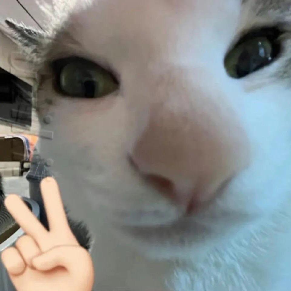 奇遇