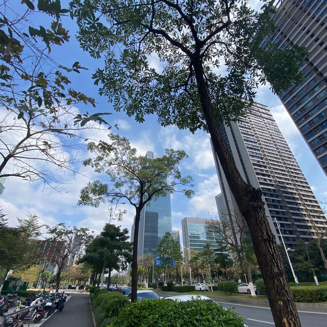 21世纪城