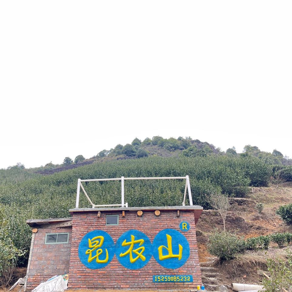 昆农山旗舰店