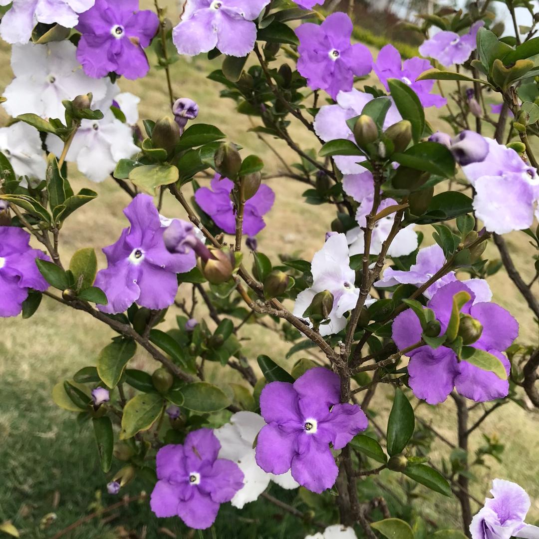 静愛シ點～娜