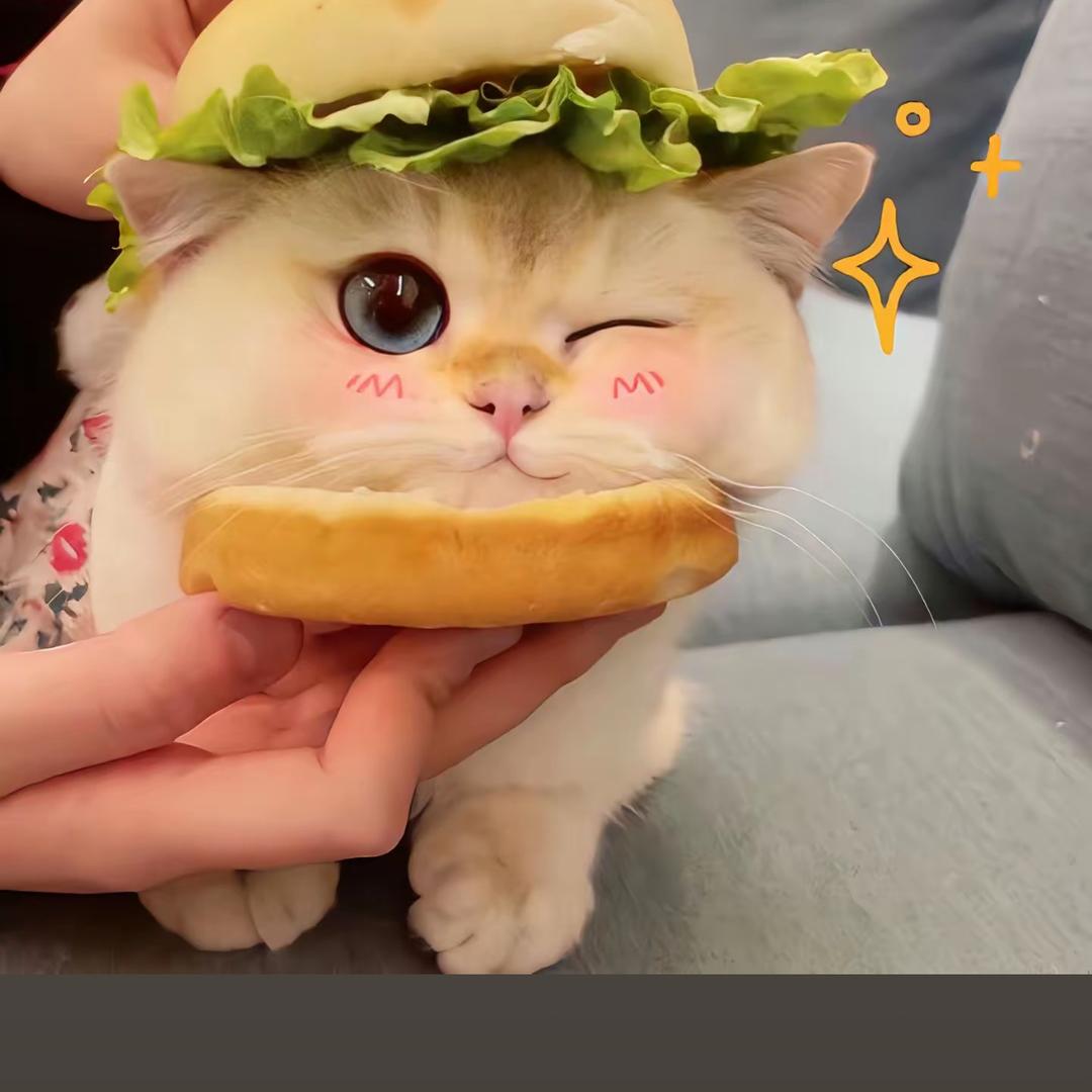 一只肉