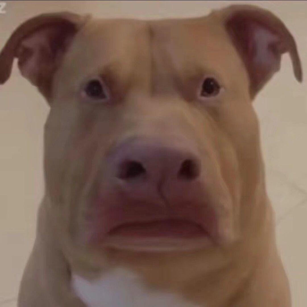 邢台房产王富贵