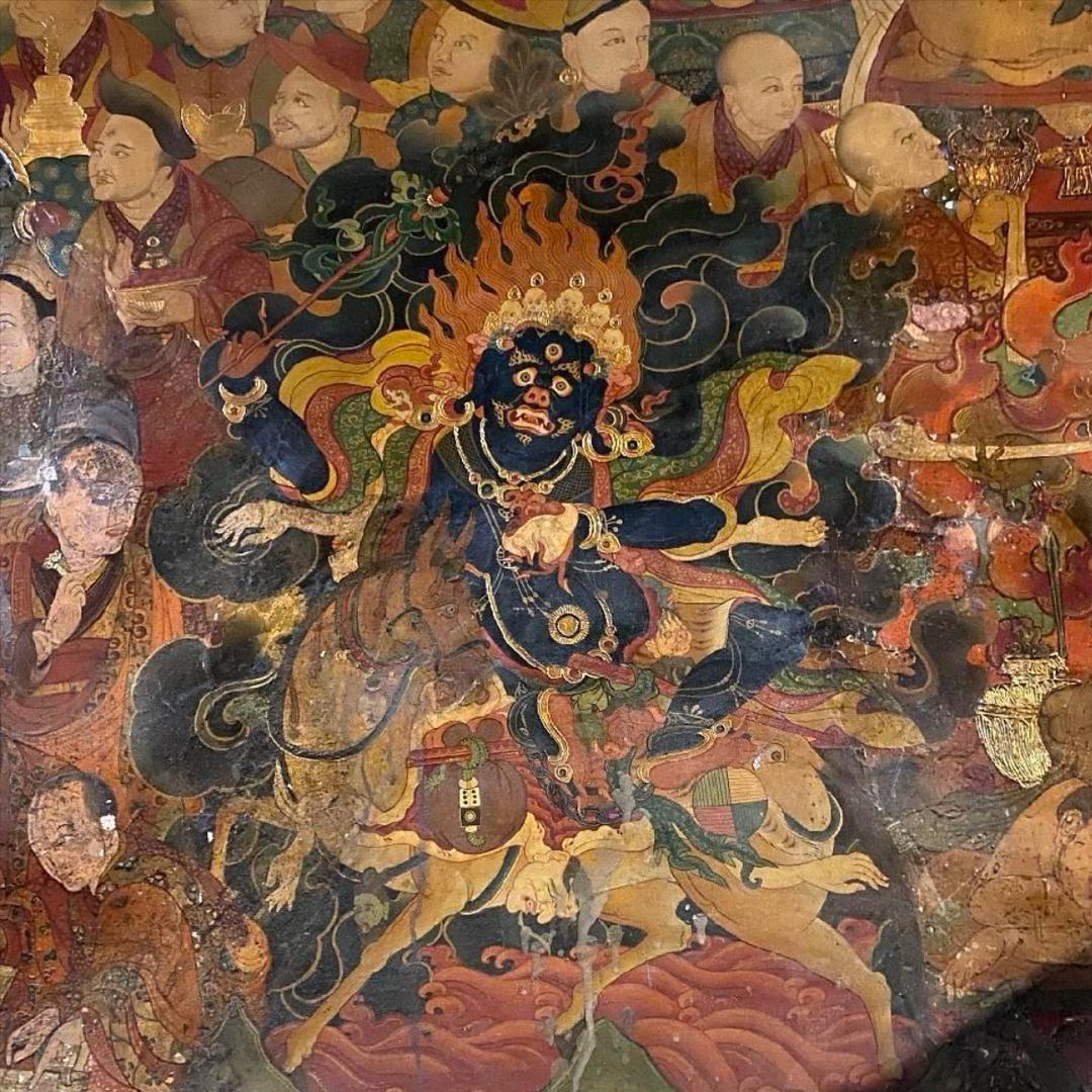 ࿐康巴根松🪷
