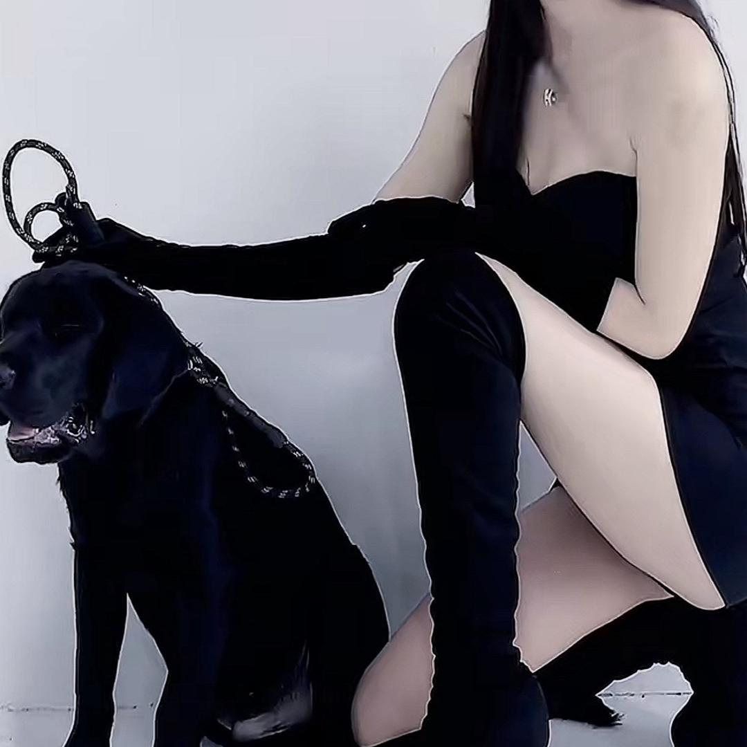 琼