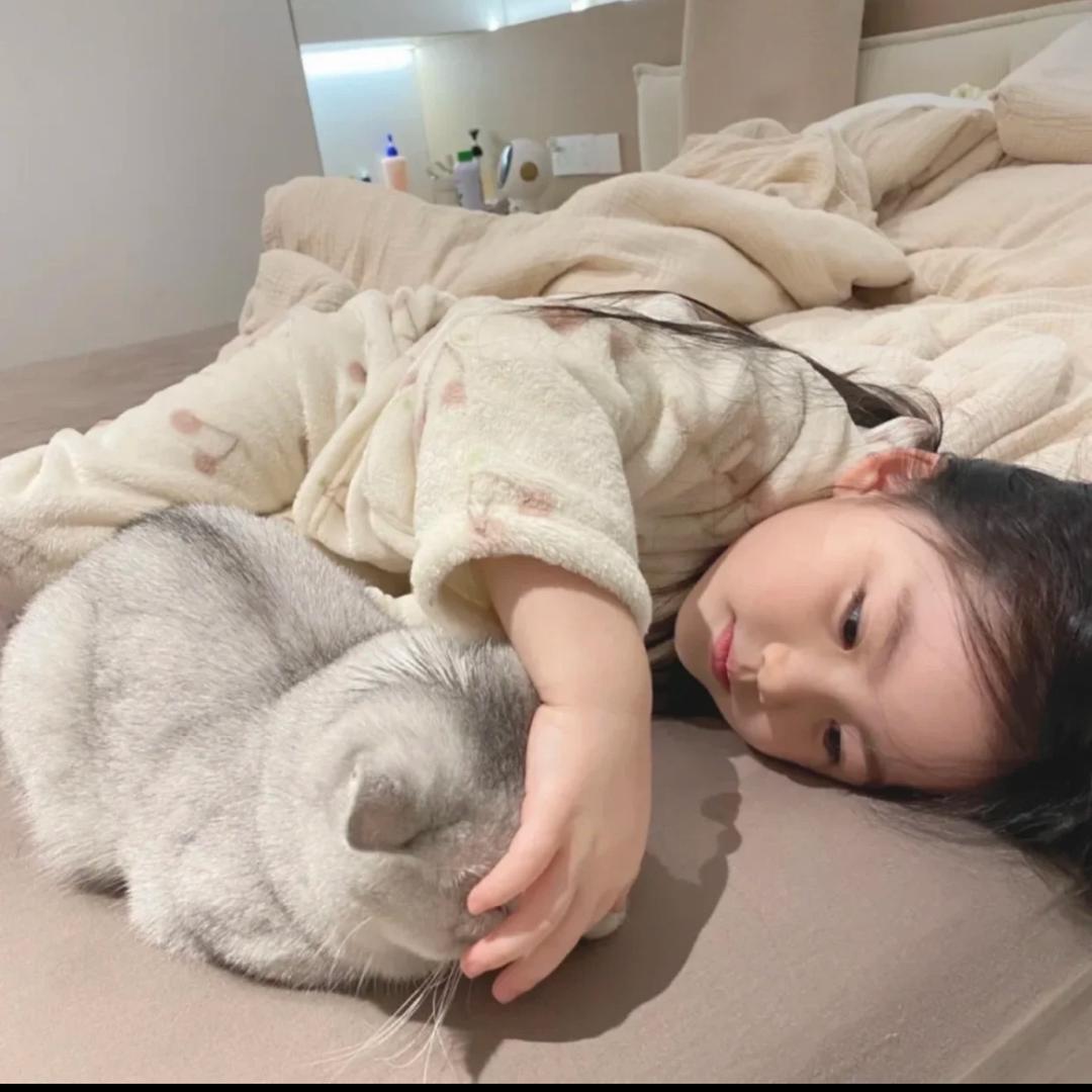 不吃鱼的猫🐱