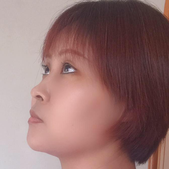 自由翱翔