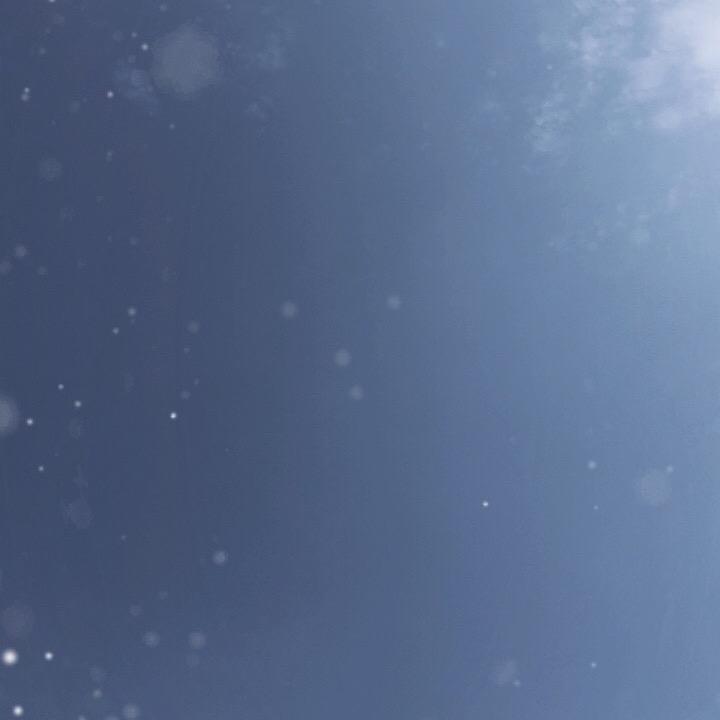 小黄瓜