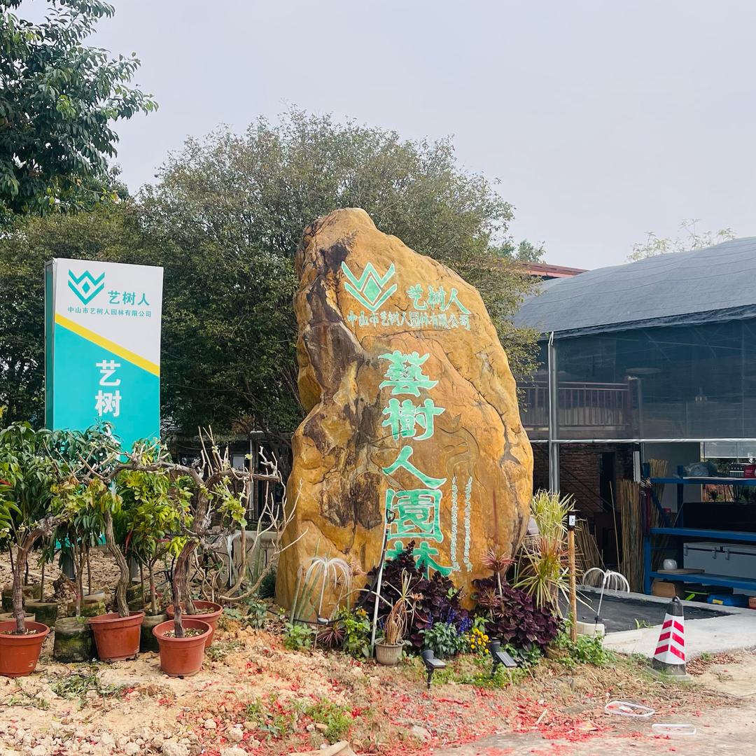 逸树人绿植甄选