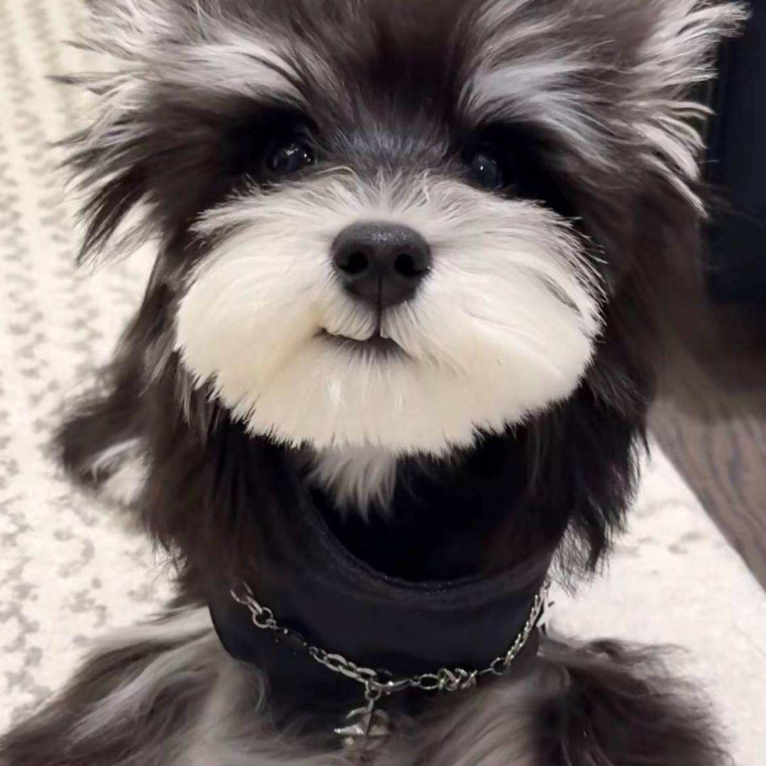 张凯伦