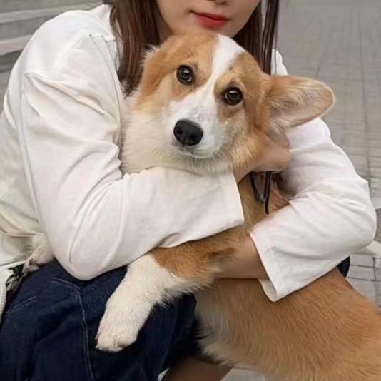 长公主福宝儿