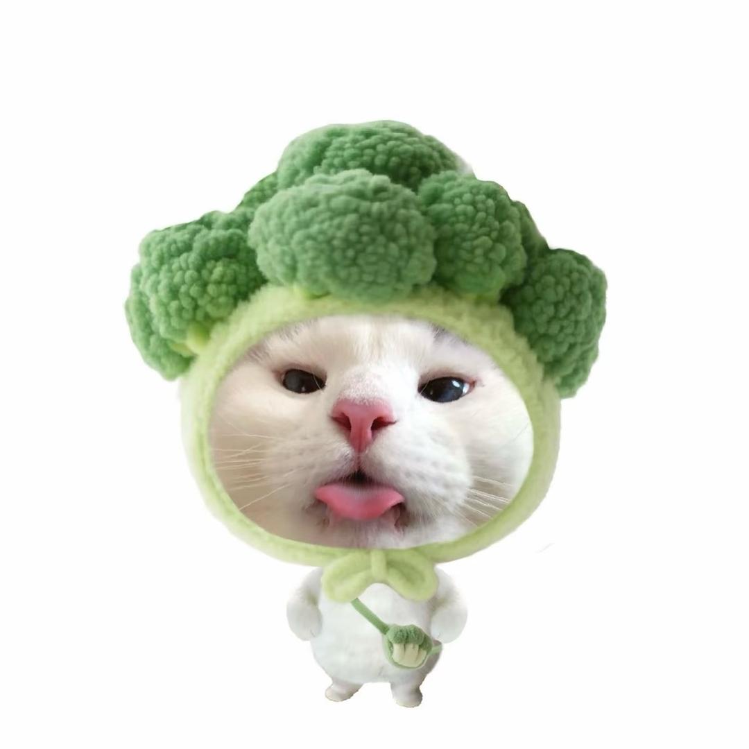 小乖