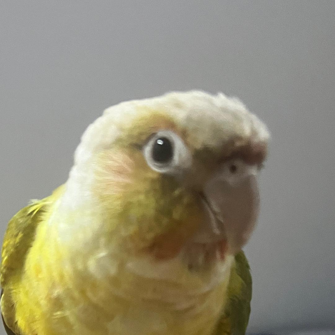 ？