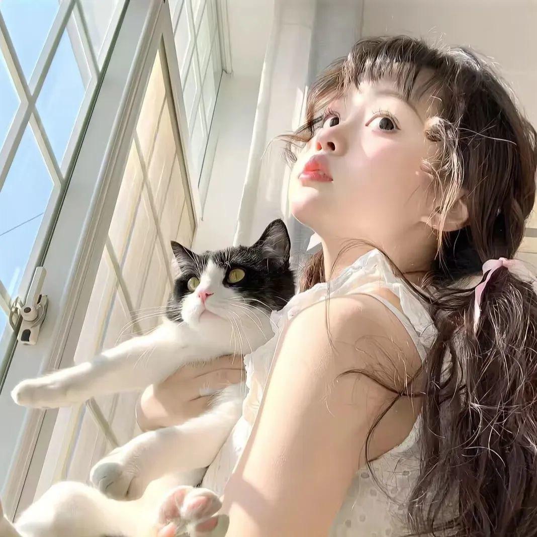 球球小姐🌹