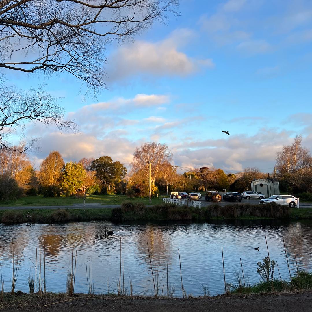 窦小姐（Christchurch ）