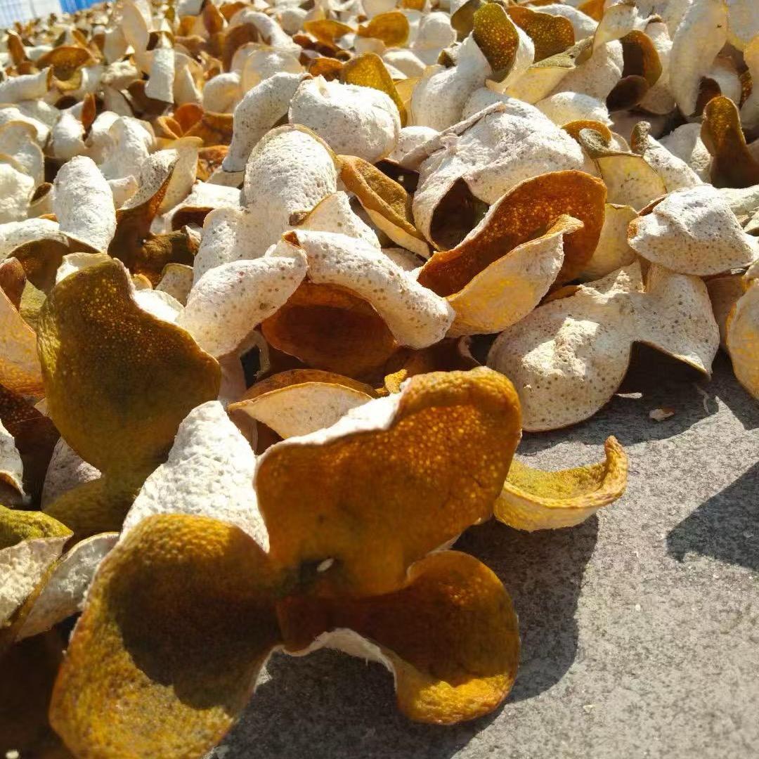 新会顺记陈皮柑园