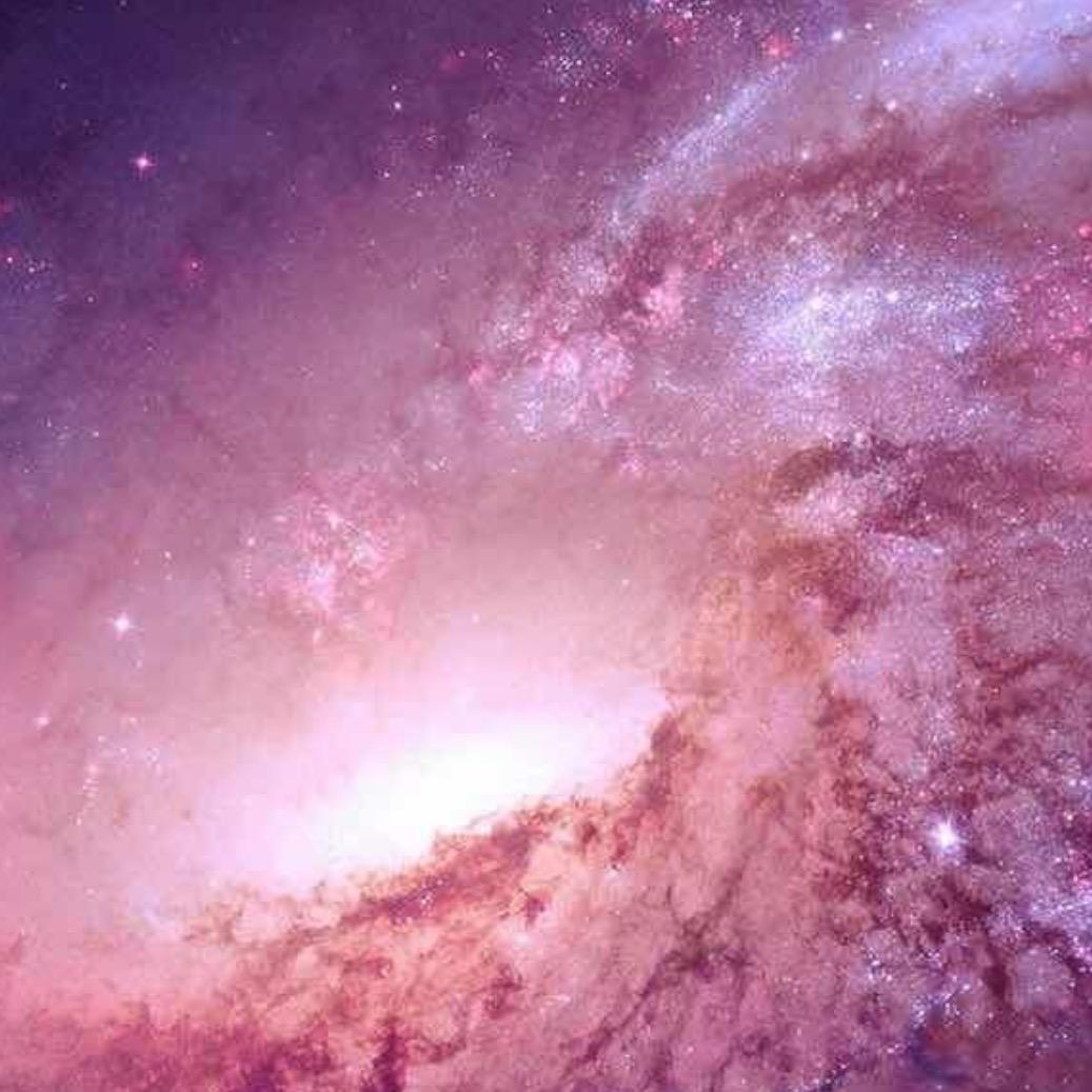 石晶晖女孩👾👾po