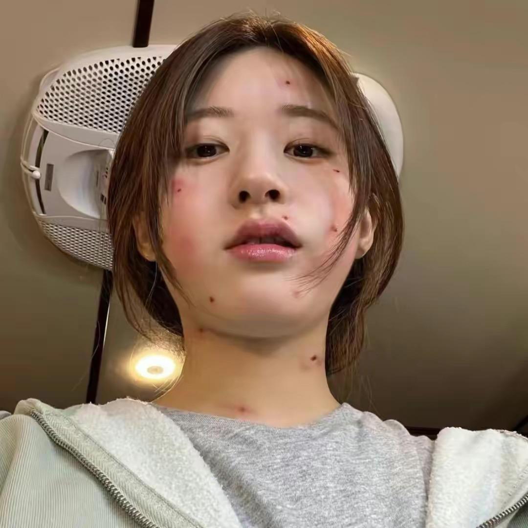 雪糕日记