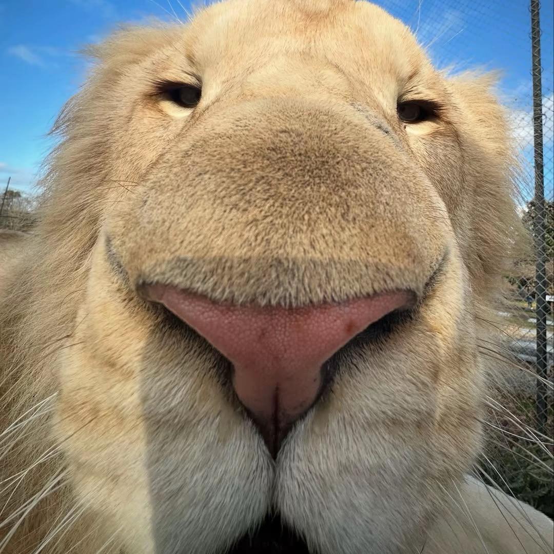 晓风善解意