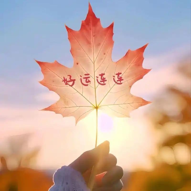 🍀好运常伴💰💰