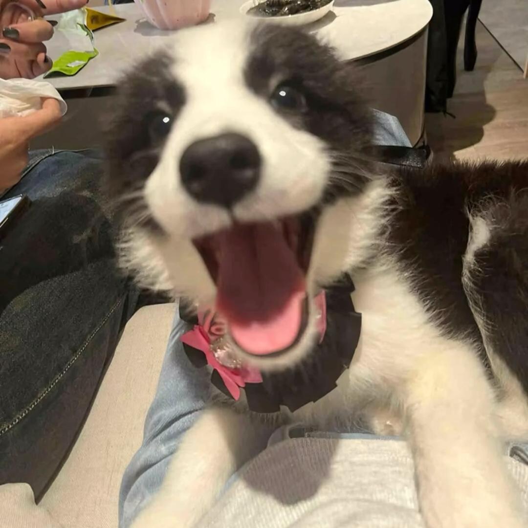 搞不懂
