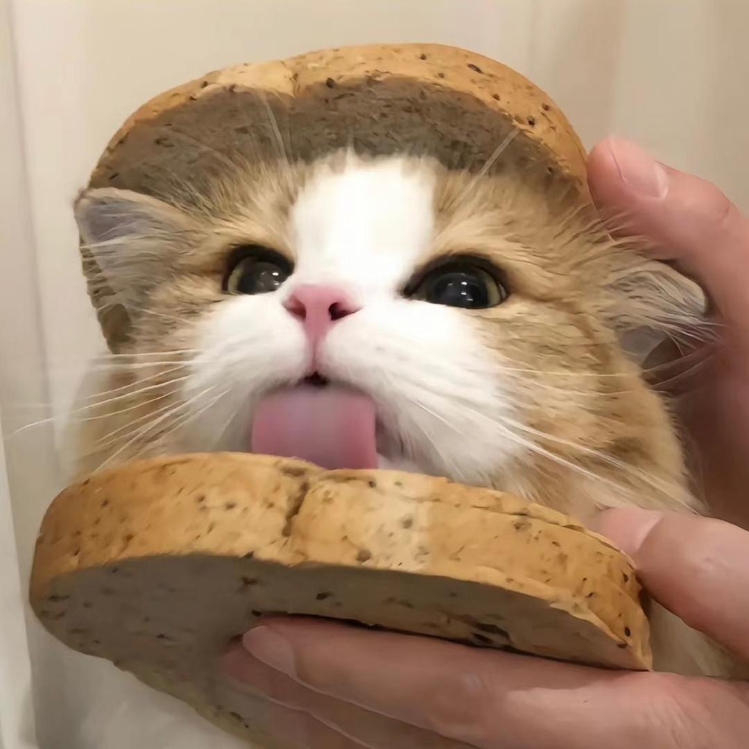 yy大王