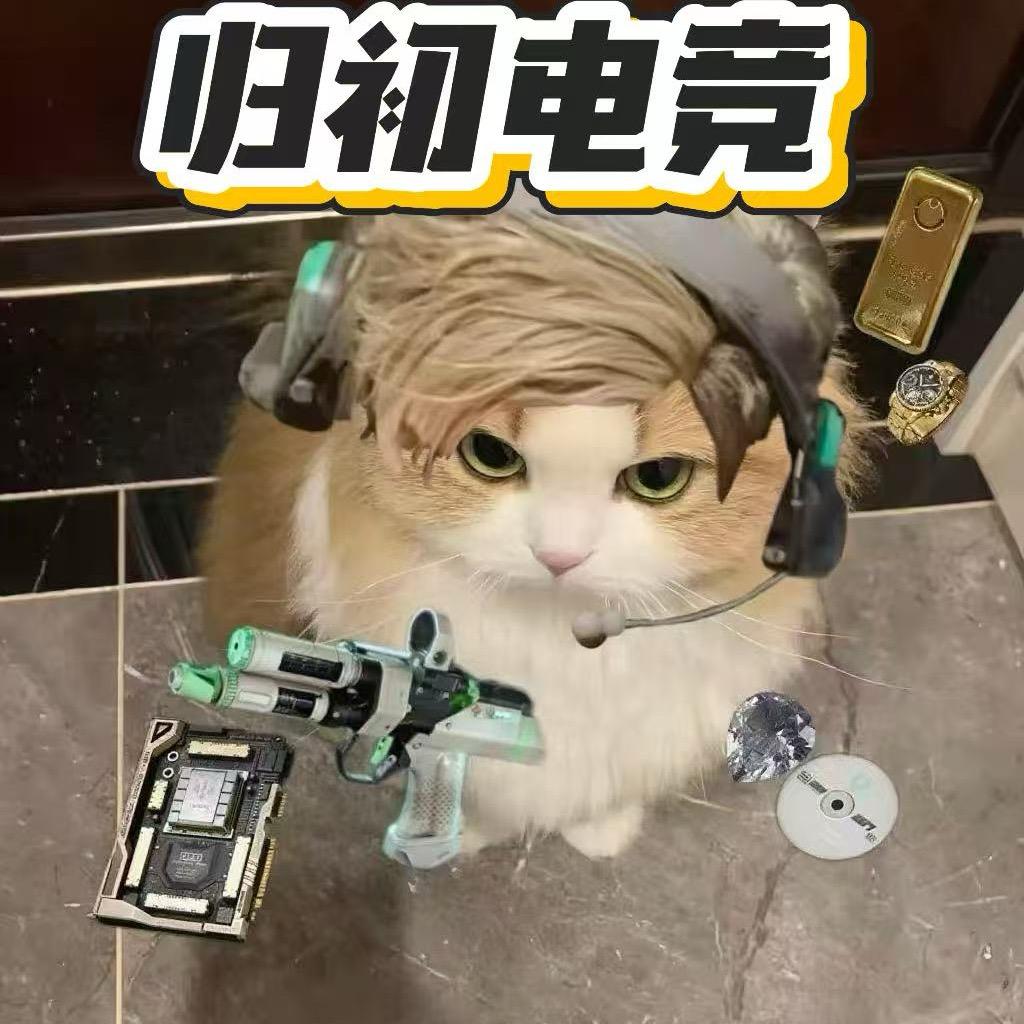 归初电竞