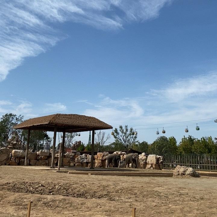 仿古街本草神鸡店