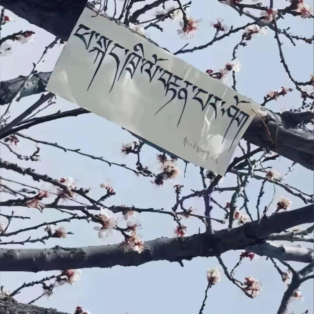洛桑嘉措