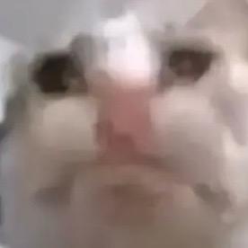 爱吃震慑的瓜瓜