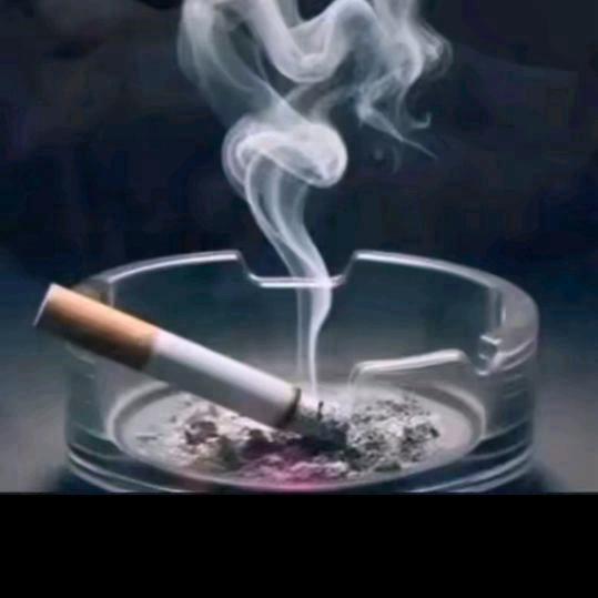 《下一页》伴知姻