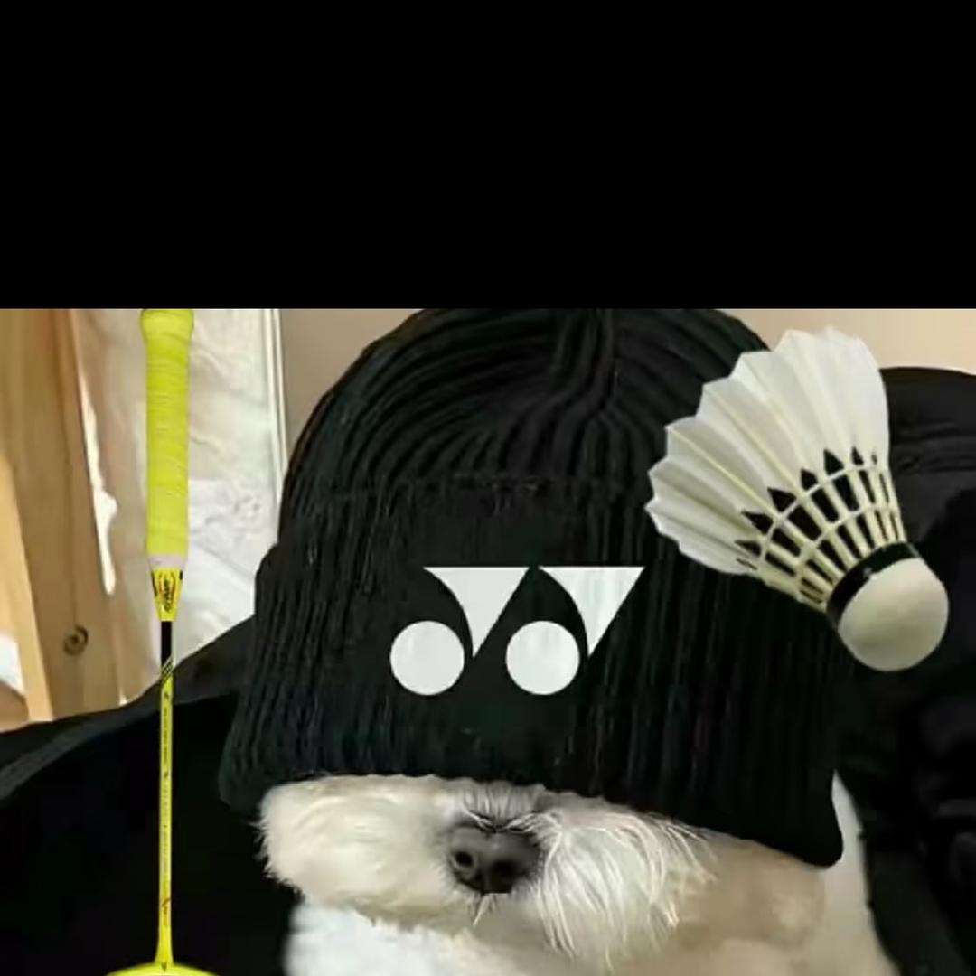 轻羽潮动Love