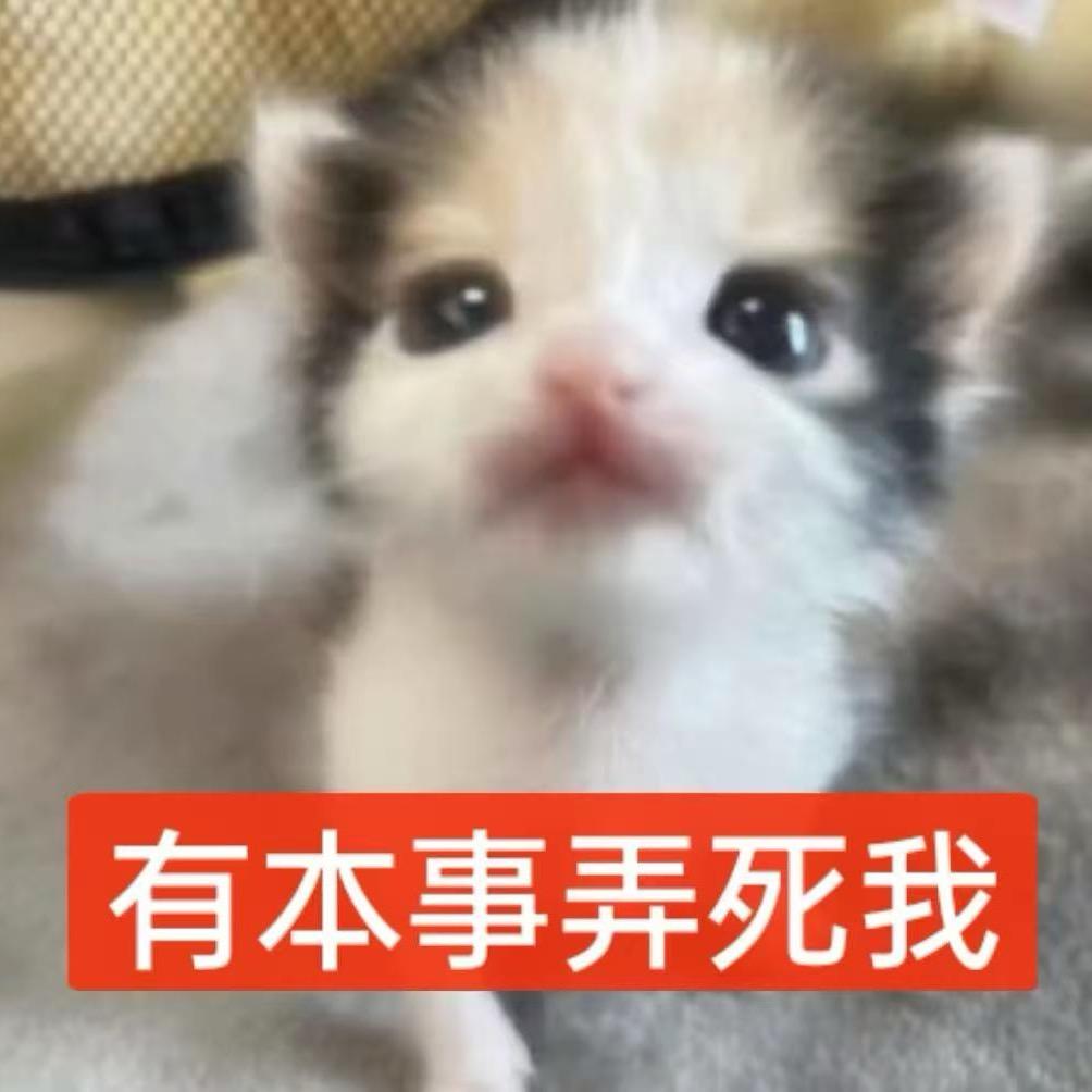 野猪亨利688