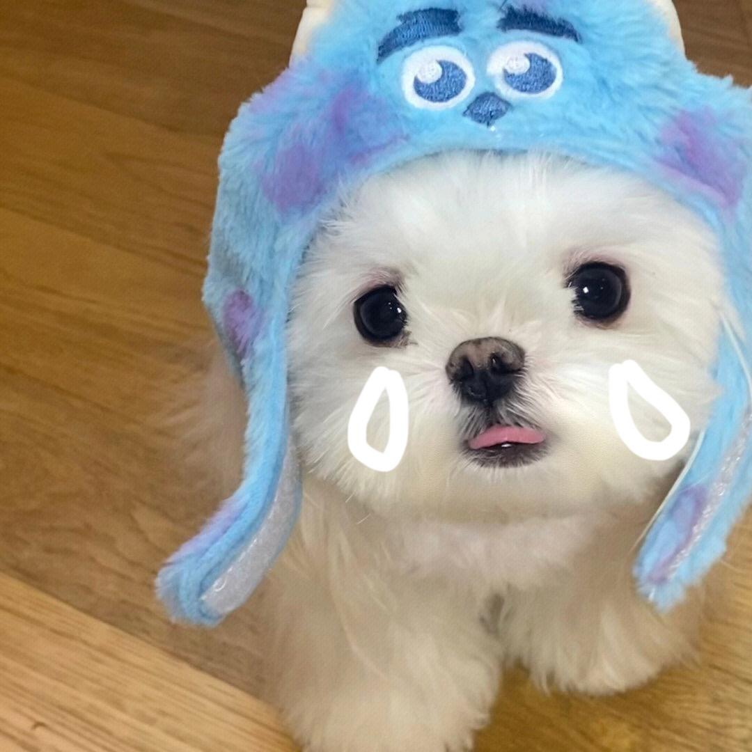 我要睡觉