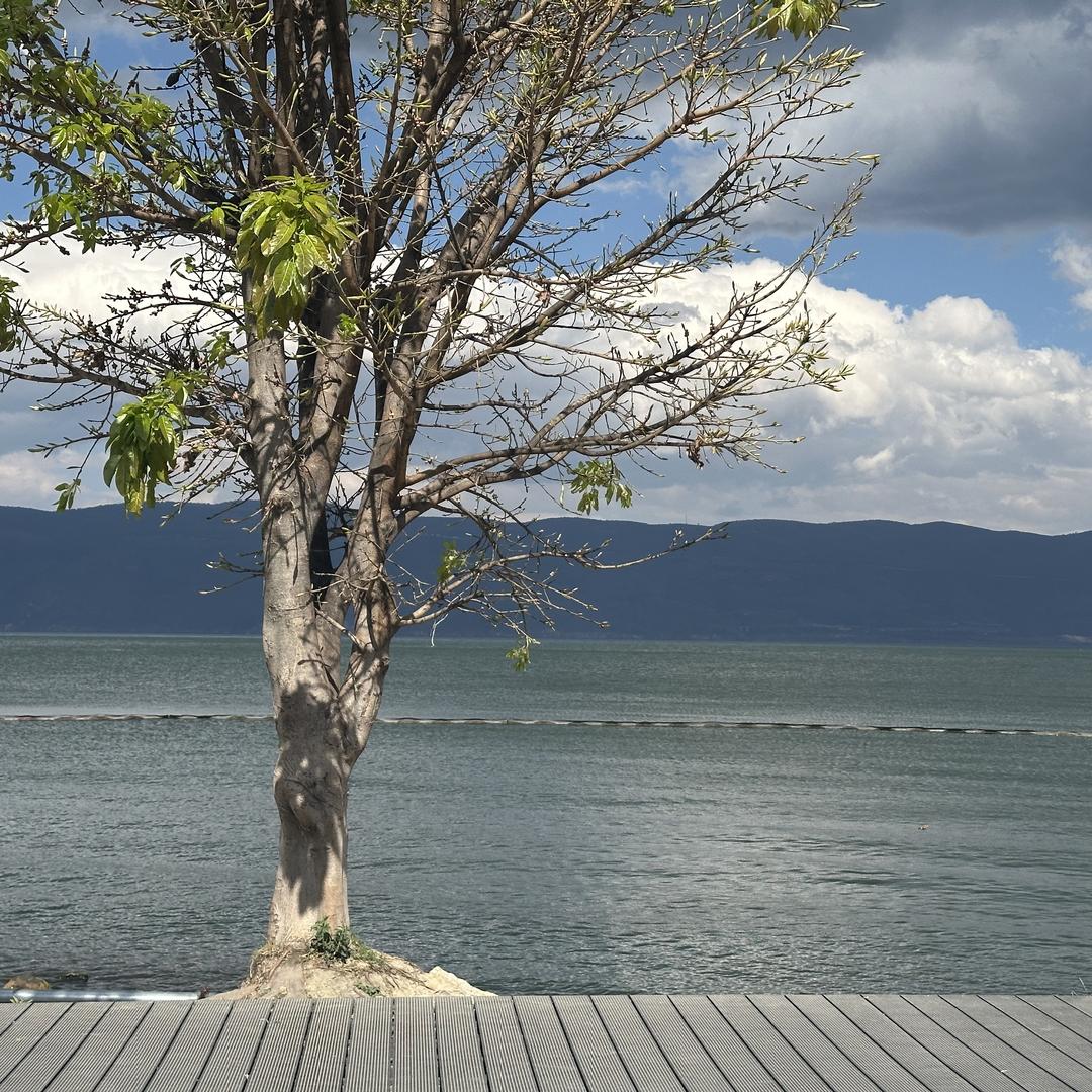 LETTHEHEART服饰配件旗舰店