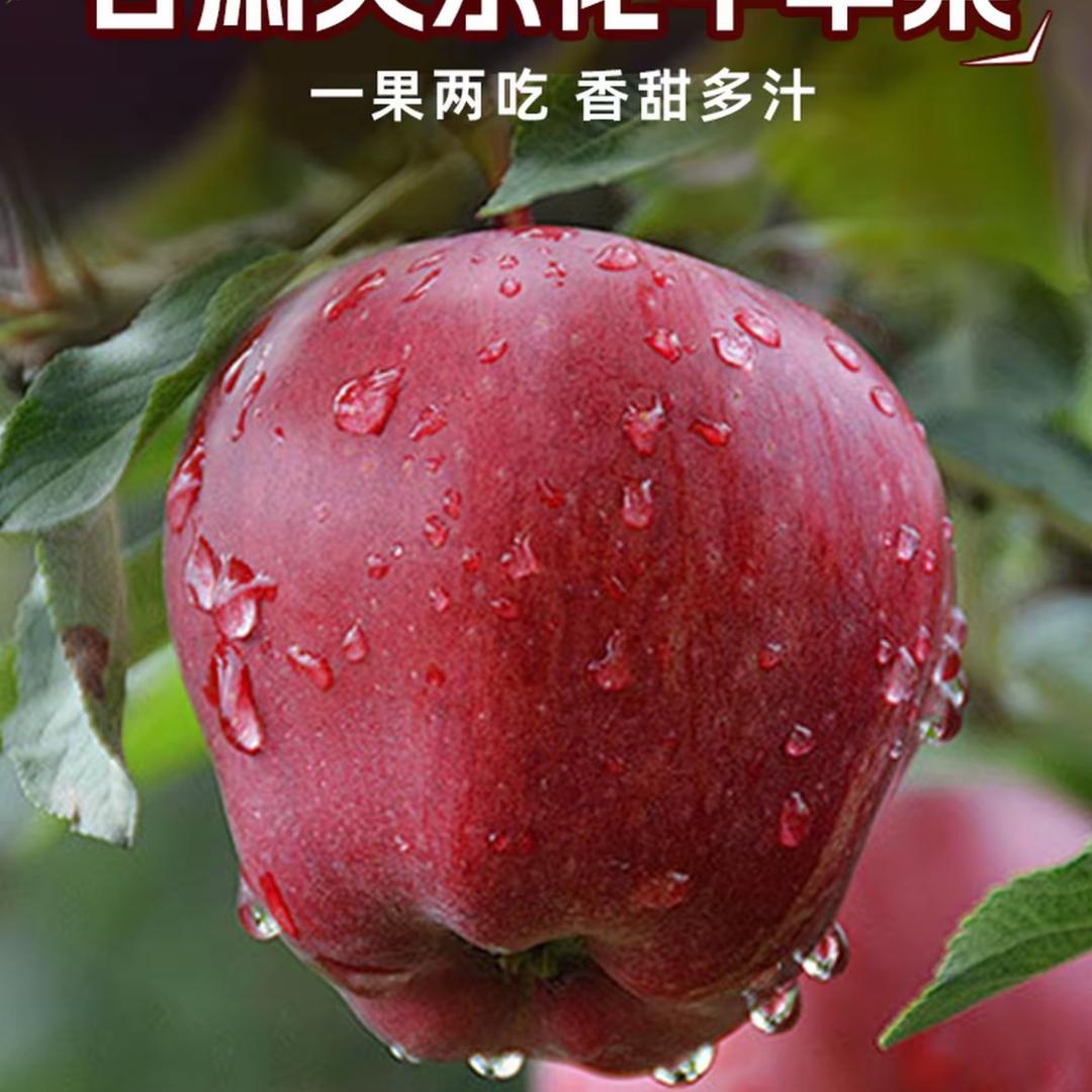小怡农产品
