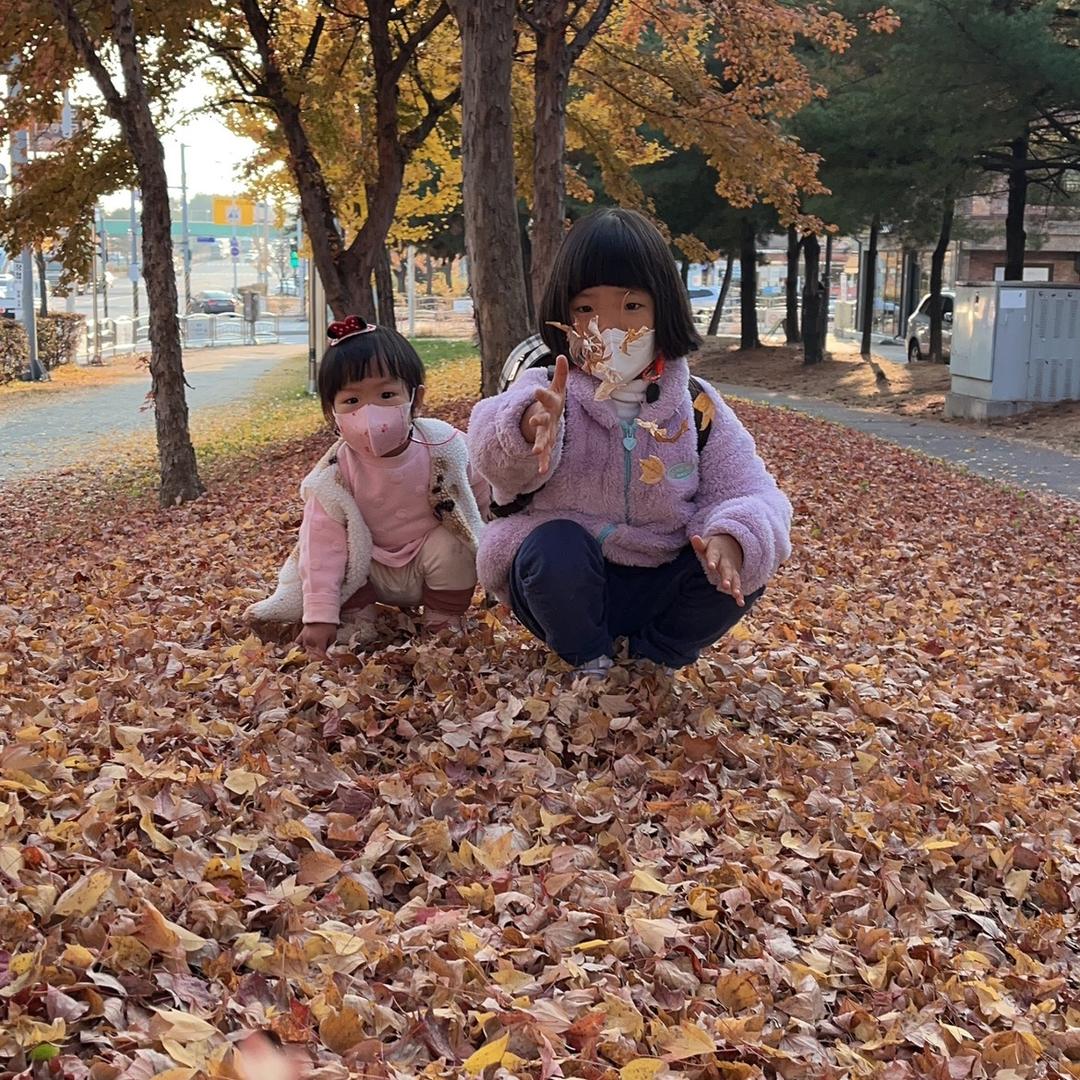 壹念🍀