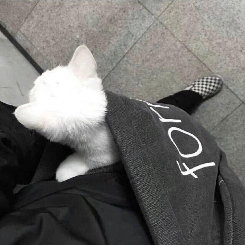 奶油蛋糕