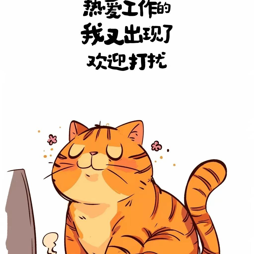 网约车批发 租赁 刘娇
