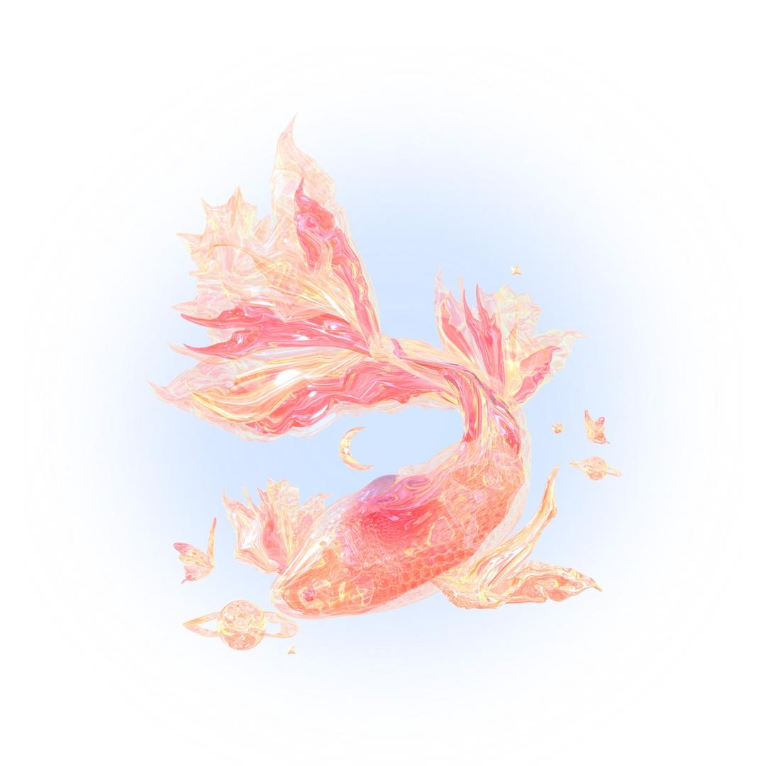 koi 🍚