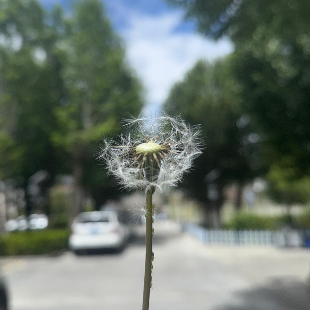 👦赛儿妈妈👩