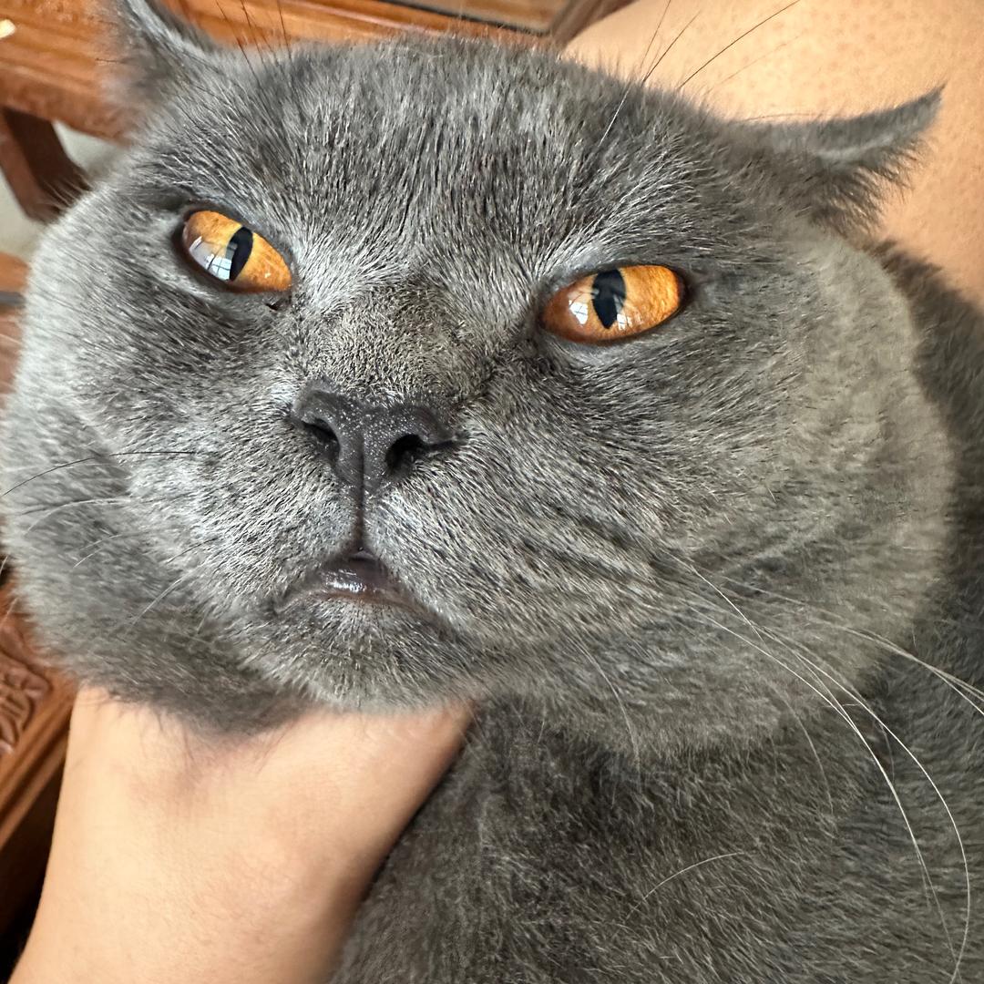 小姐姐
