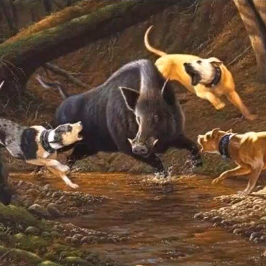 喜欢护农的小诚