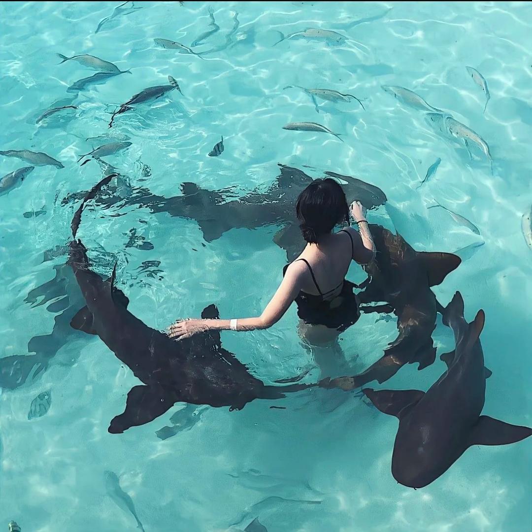 阿钰的钰
