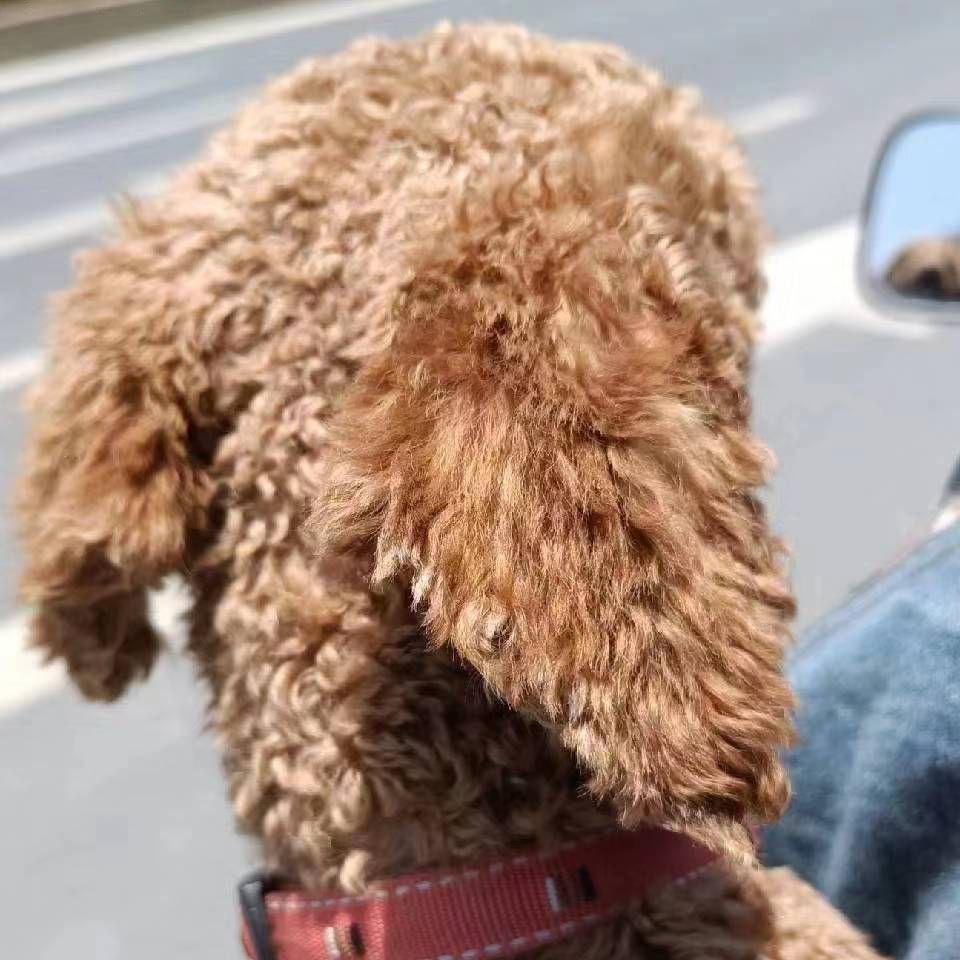 Su℃
