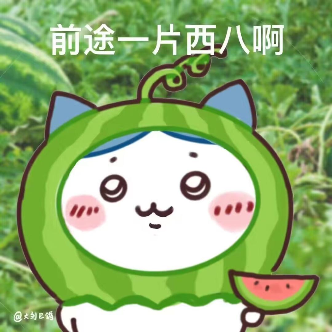 蛋蛋子