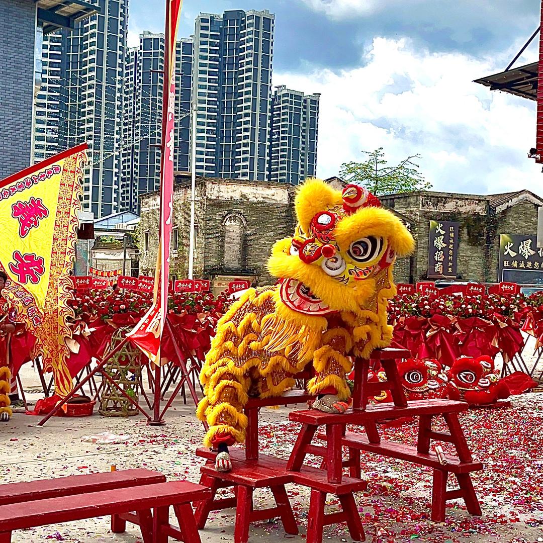 广东台山義安龍狮武術團