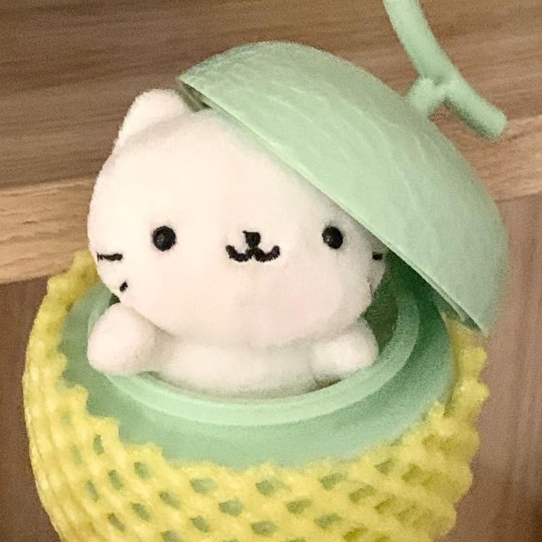 蜜瓜玫珑糕