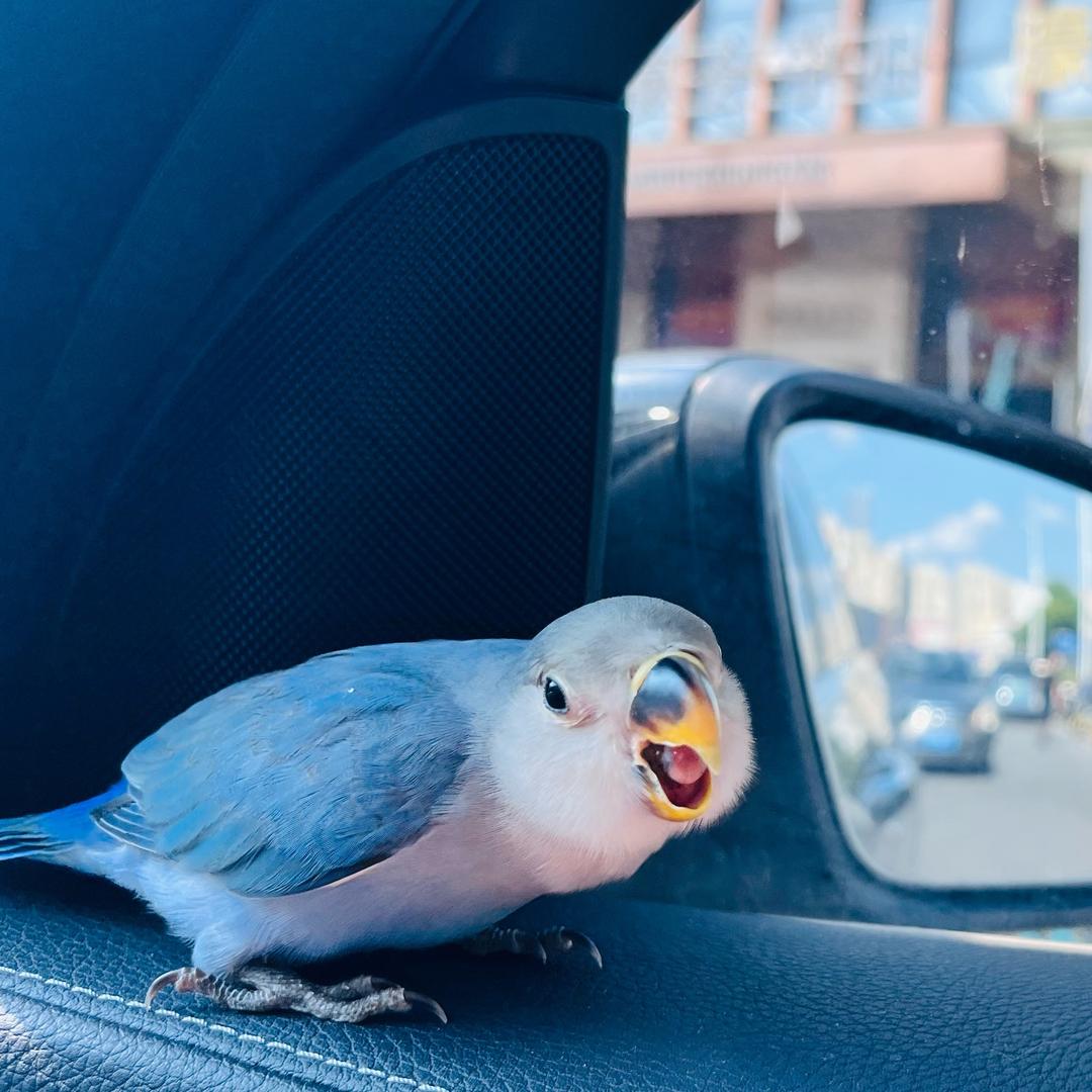 Ally-Lee🦜