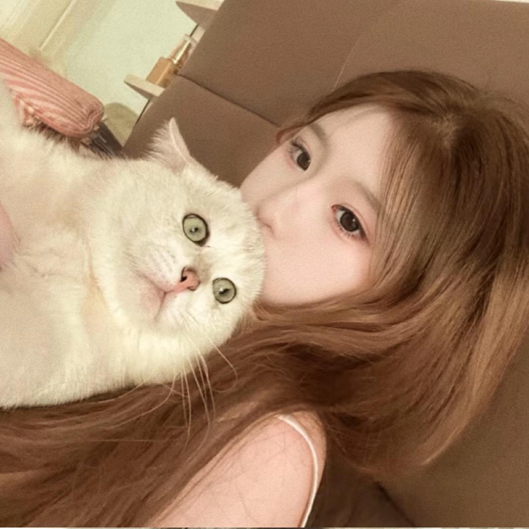 你看起来像笨蛋